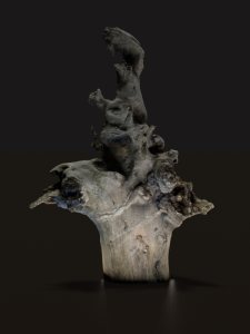 2021 3D scan experiment, willow root (foto by J.Rullhusen)